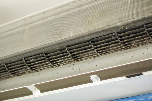 Best Residential Air Duct Cleaning  in Camden, AR
